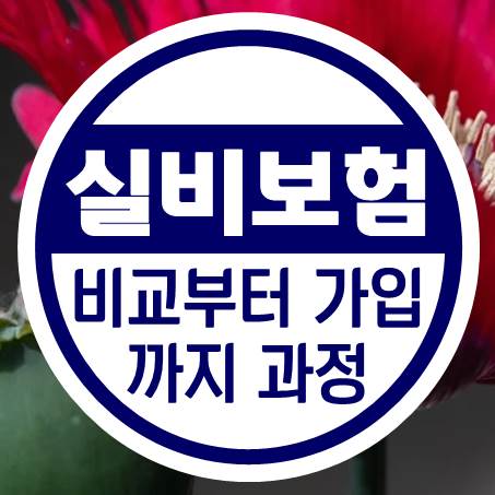  실버실비보험 비교하고 가입하기까지 과정을 정리해 봤다.