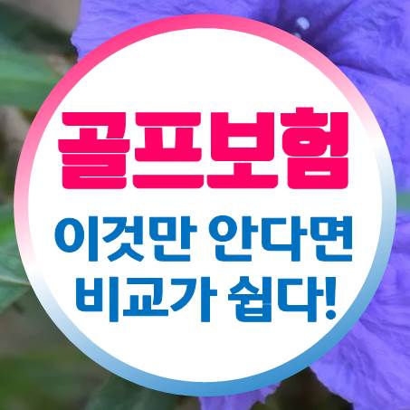  홀인원보험비교, 요령을 알아두면 더 쉽게 결정할 수 있다.
