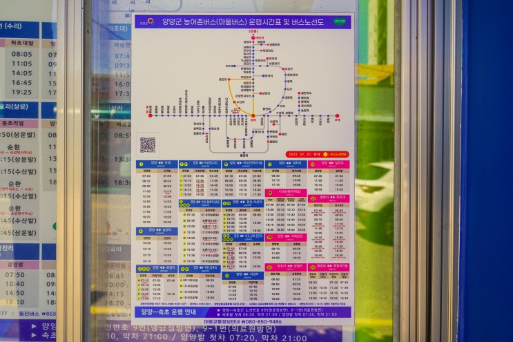 국내 뚜벅이 버스 여행 필수 양양 시간표