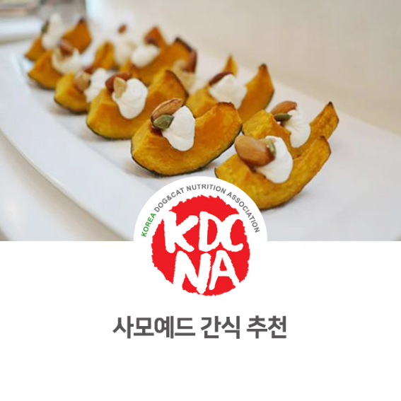  사모예드에게 추천하는 간식 [한국반려동물영양협회/댕밀헌/권수진반려동물영양전문가/애견수제간식/청주/충주/천안/세종_1004]