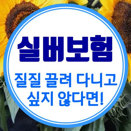  고령자보험 가입 시 우선순위를 정하지 않으면 질질 끌려다닐 수 있다.