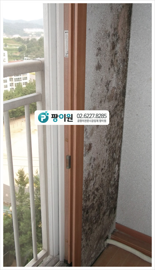  결로현상 베란다 곰팡이제거? 어떻게 해결?