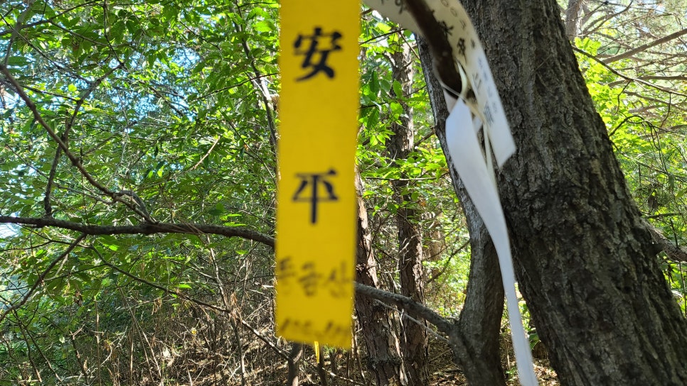 혼천산 사진 2