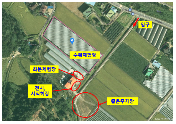 케이(K)-인삼 매력 알리자 인삼 청년 농업인 뭉쳤다_농촌진흥청 케이(K)-인삼 매력 알리자 인삼 청년 농업인 뭉쳤다_농촌진흥청