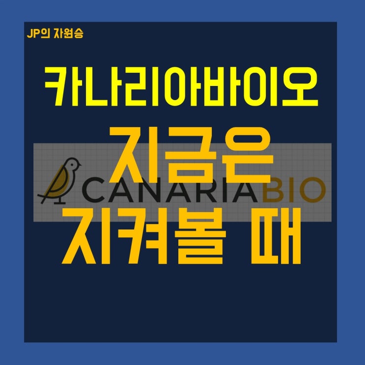  카나리아바이오 주가 지금은 지켜볼 때
