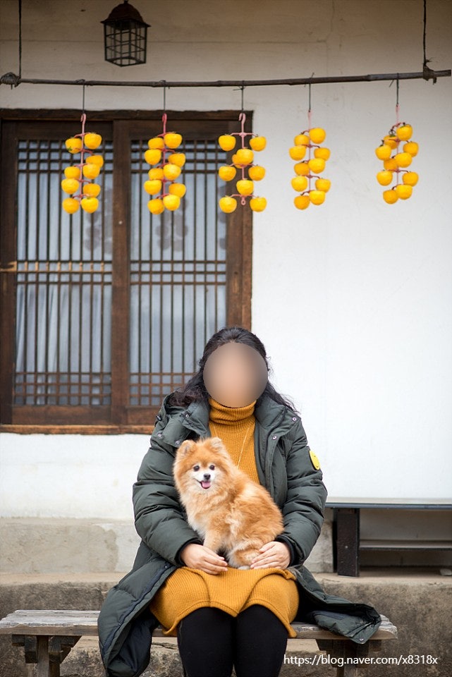  애견동반 군위가볼만한곳 화본역,혜원의집 리틀포레스트 촬영지