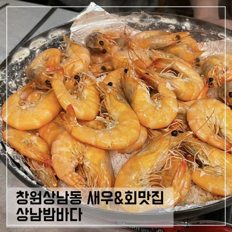 창원상남동 새우맛집 상남밤바다; 회도 맛있는 상남동 회식장소추천