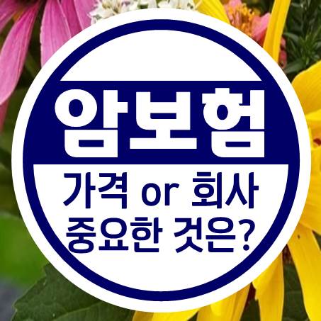  40대 암보험 가격 보고 고를까? 추천 회사 보고 결정할까?