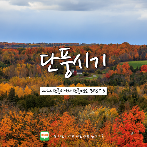  2022 단풍시기 단풍명소 BEST 3까지