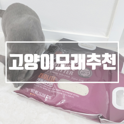  캣모래 내돈내산 고양이모래추천 레드캣 고양이모래