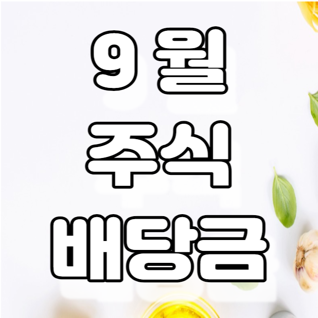 9월 미국주식 배당금내역-SCHD,DIA,리얼티인컴 9월 미국주식 배당금내역-SCHD,DIA,리얼티인컴