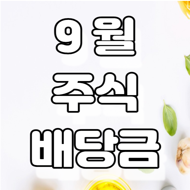 9월 미국주식 배당금내역-SCHD,DIA,리얼티인컴