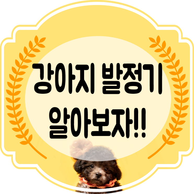  강아지발정기 ~!! 자세히 알아보자~!! (암컷 ,  수컷)