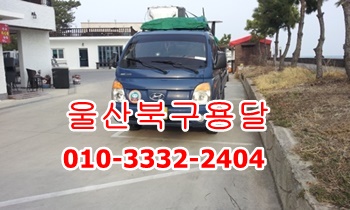  울산북구용달 입실 모화 외동.