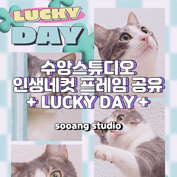 수앙스튜디오 인생네컷 프레임 공유 1탄