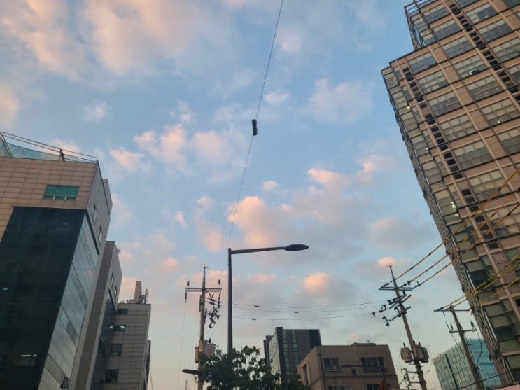  걷기의 중요성 그 남자의 포스팅 소재