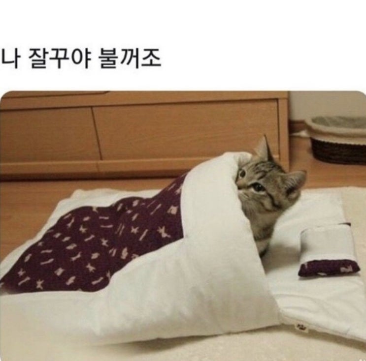  밤에 보면 큰일 나요