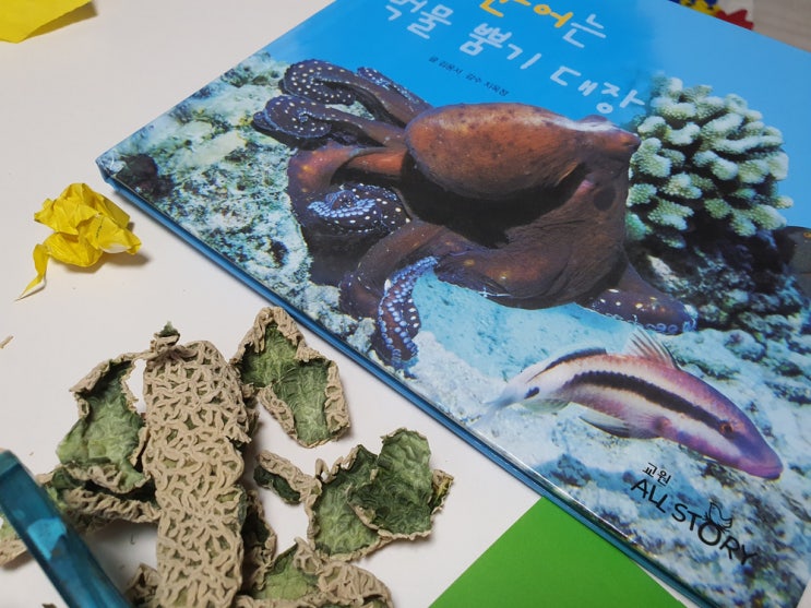 [두돌 26개월아기 책육아] 자연관찰 책 독후활동으로 바다친구 문어와 거북이 만들기