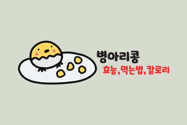 병아리콩 효능 먹는법 칼로리 보관법