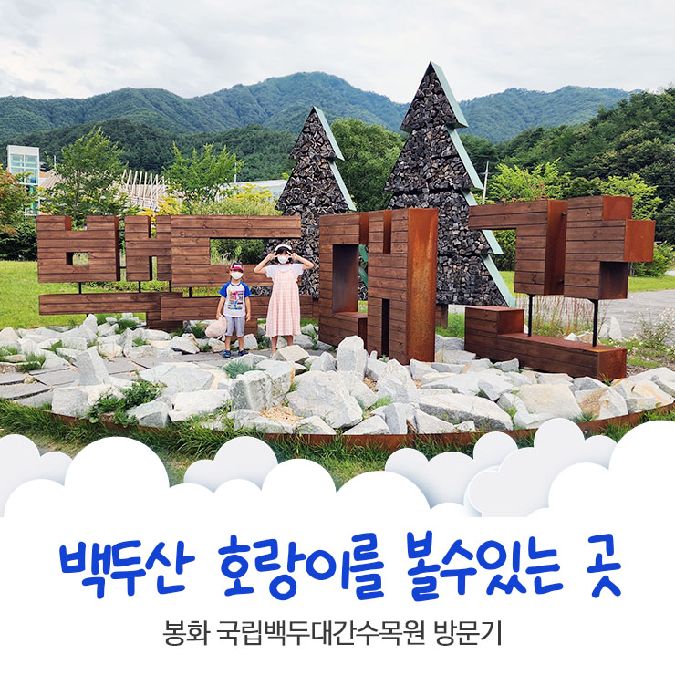 백두산 호랑이를 볼 수 있는곳 봉화 국립백두대간수목원 방문기