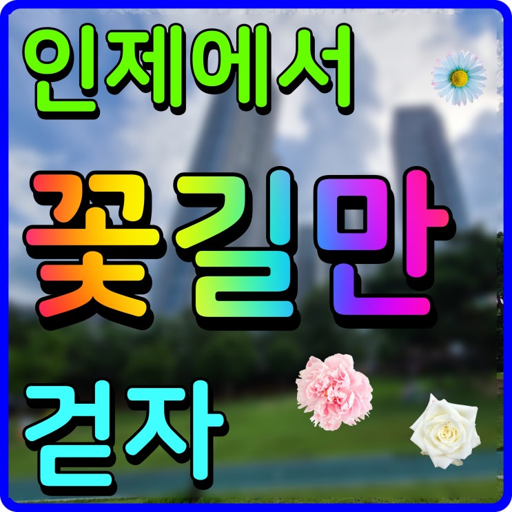  인제에서 꽃길만 걷자 축제 용대 관광지 일원에서 힐링 여행