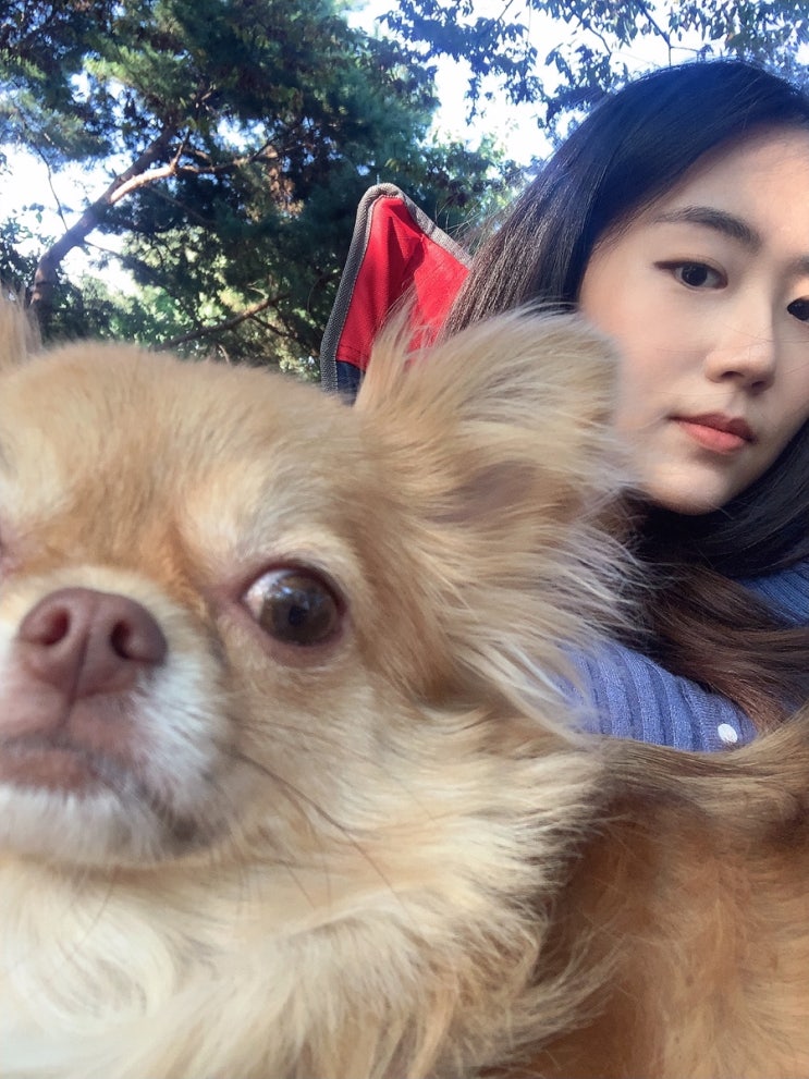  풀멍