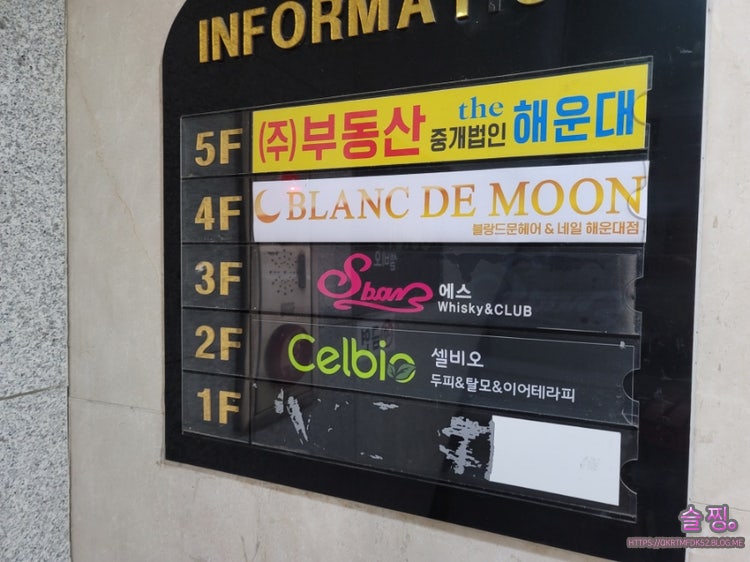 잠실탈모관리 : 이어테라피 잘하는 5