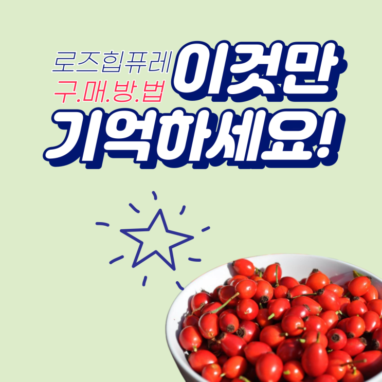  로즈힙퓨레 총정리 (feat. 효능 쥬스 먹는법)