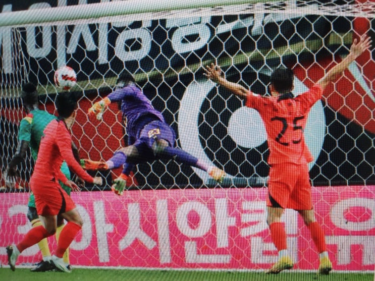 '손흥민 <b>헤딩 결승골</b>' 한국... 아프리카 강호, 카메룬 1-0 격파
