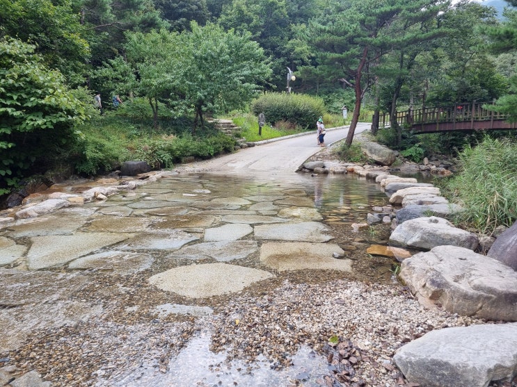  강릉솔향수목원[강릉/자연과 하나 되는 휴식공간]