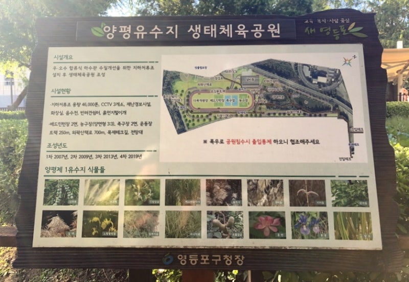 사진 6