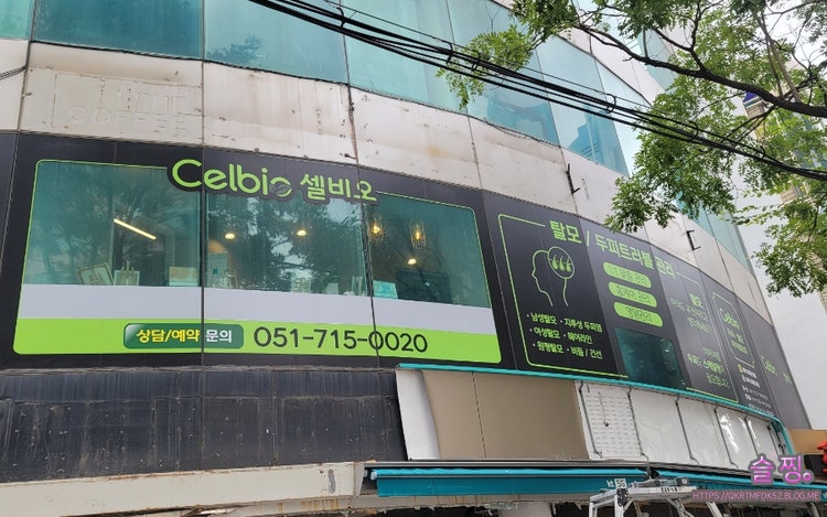 잠실탈모관리 : 이어테라피 잘하는