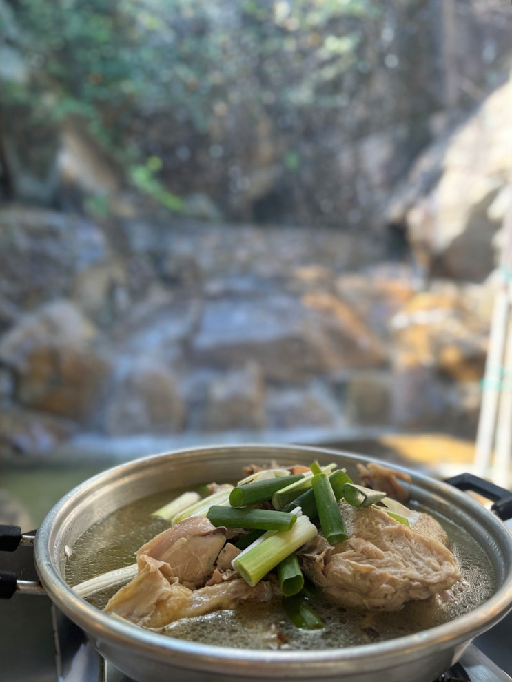 [안양예술공원/안양유원지]봉암식당 폭포수 보며 닭백숙으로 몸보신 :)