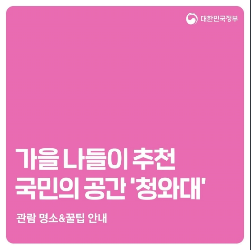 가을 나들이로 청와대 어때?…관람 명소부터 꿀팁까지 가을 나들이로 청와대 어때?…관람 명소부터 꿀팁까지