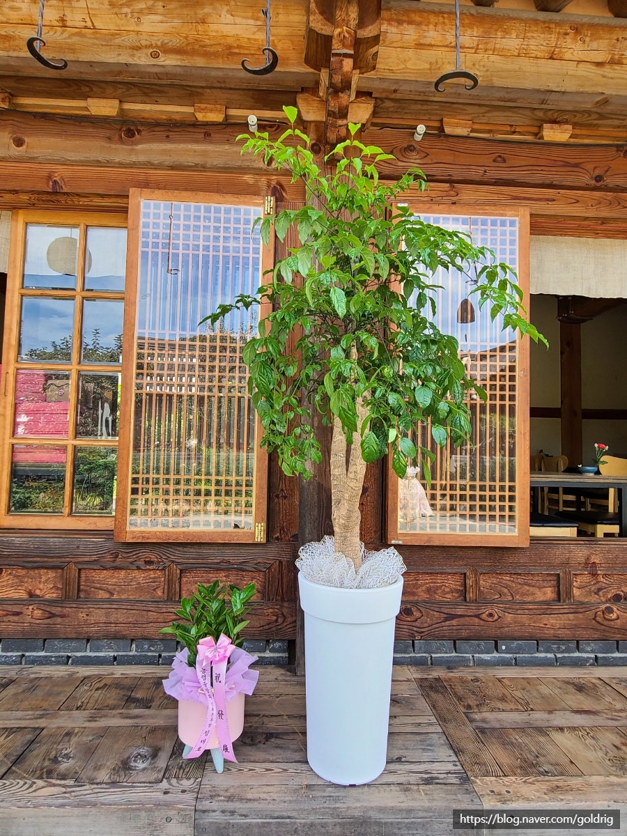 연백당 사진 5