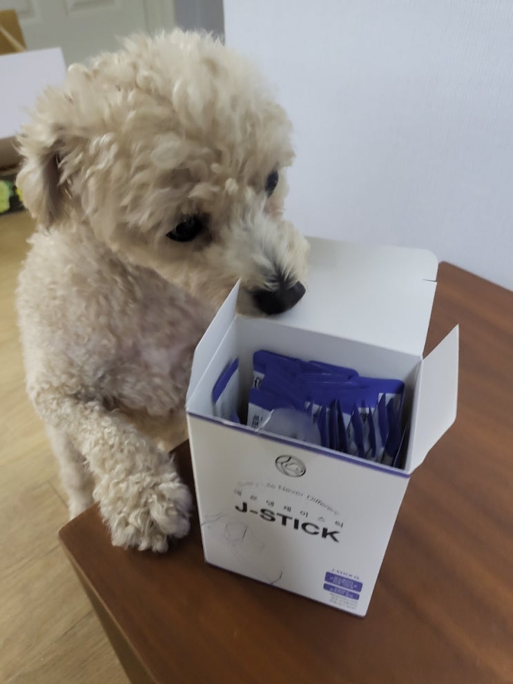  (상품)10종 기능성 원료가 함유 된 에르댕 제이스틱/반려견 관절영양제