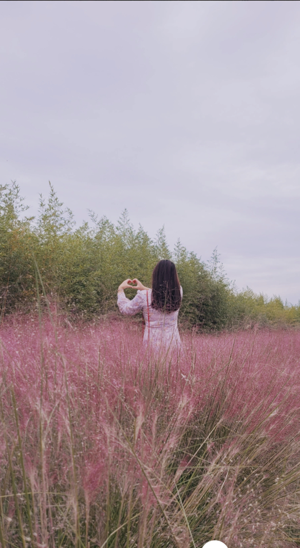 2022.09.25 대저생태공원 핑크뮬리 