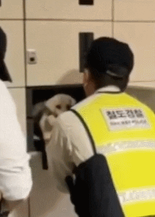 (영상) 동대구 기차역 물품 보관함안에 갇혀있던 강아지 구조