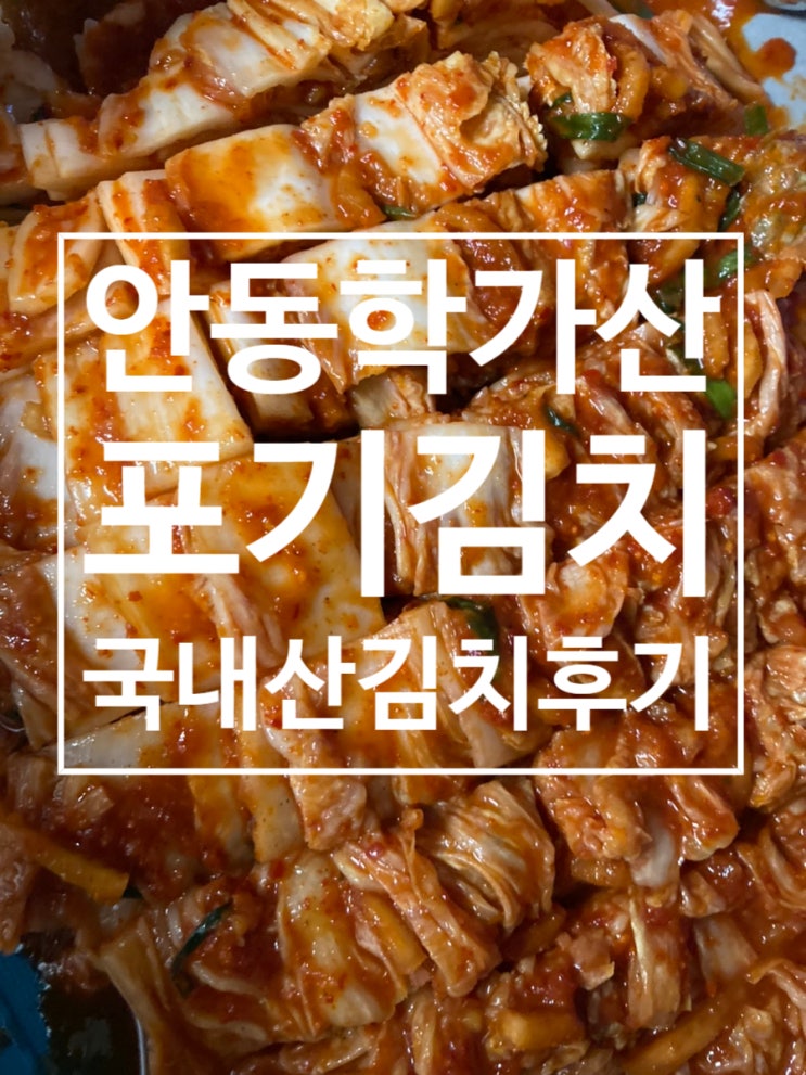  김치대란 처음으로 구매한 김치 ［안동 학가산 포기김치 ］