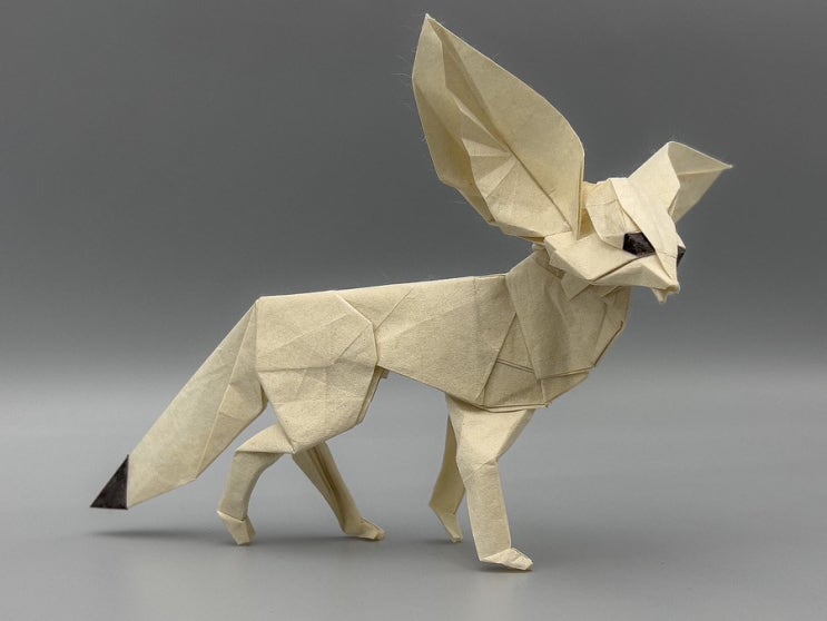  Katsuta Kyohei - Fennec Fox