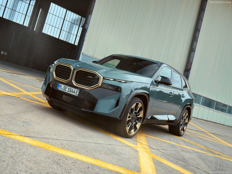  버팔로가 된 'BMW XM' - 포토, 마력, 제원 그리고 가격