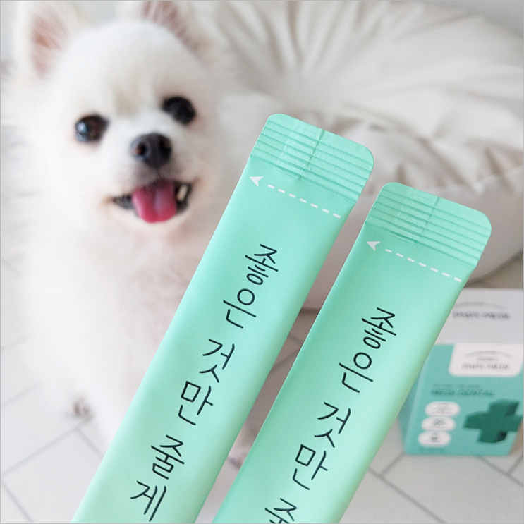  강아지치아영양제 파파메디 이빨 케어 스타트!