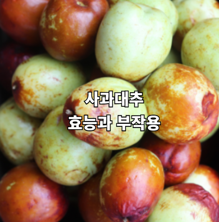  맛도 좋고 아삭한 사과대추의 효능과 부작용