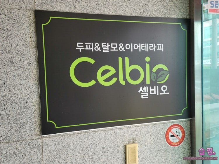잠실탈모관리 : 이어테라피 잘하는 2