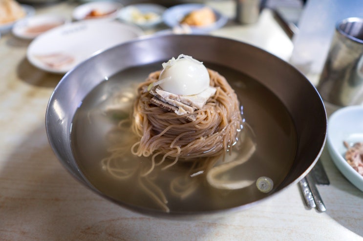  [장충동 맛집] 평양면옥 - 진한 육수를 머금은 고소한 메밀의 풍미, 냉면과 제육