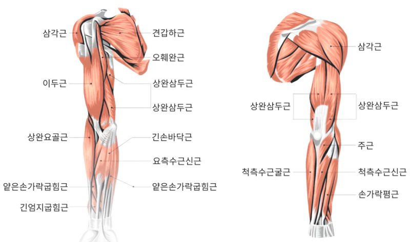 바니짐PT 이미지