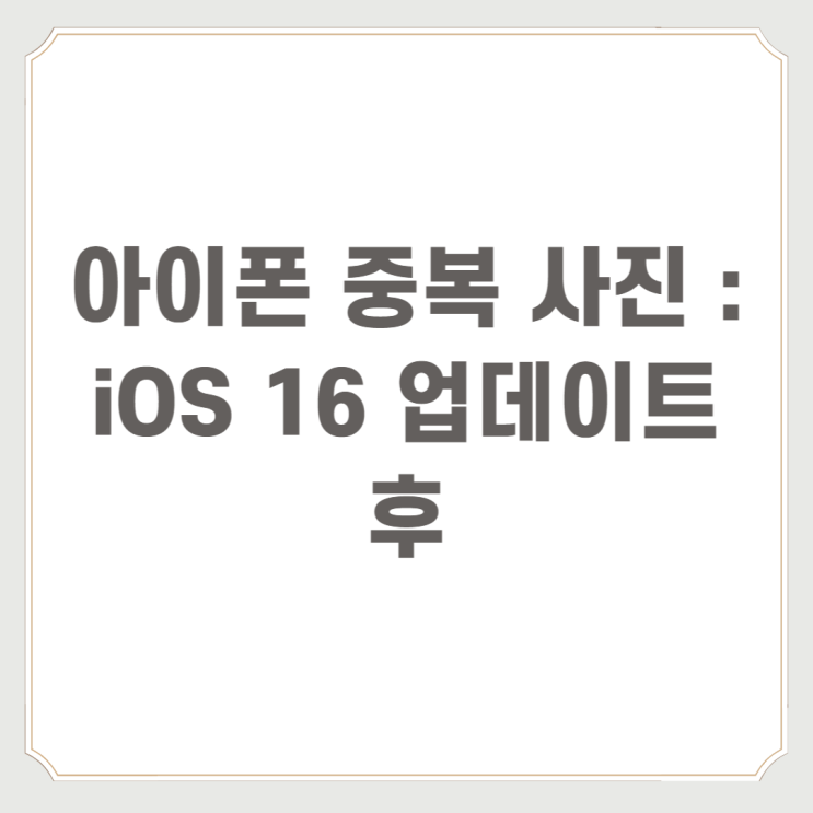 아이폰 중복 사진 : iOS 16 업데이트 후