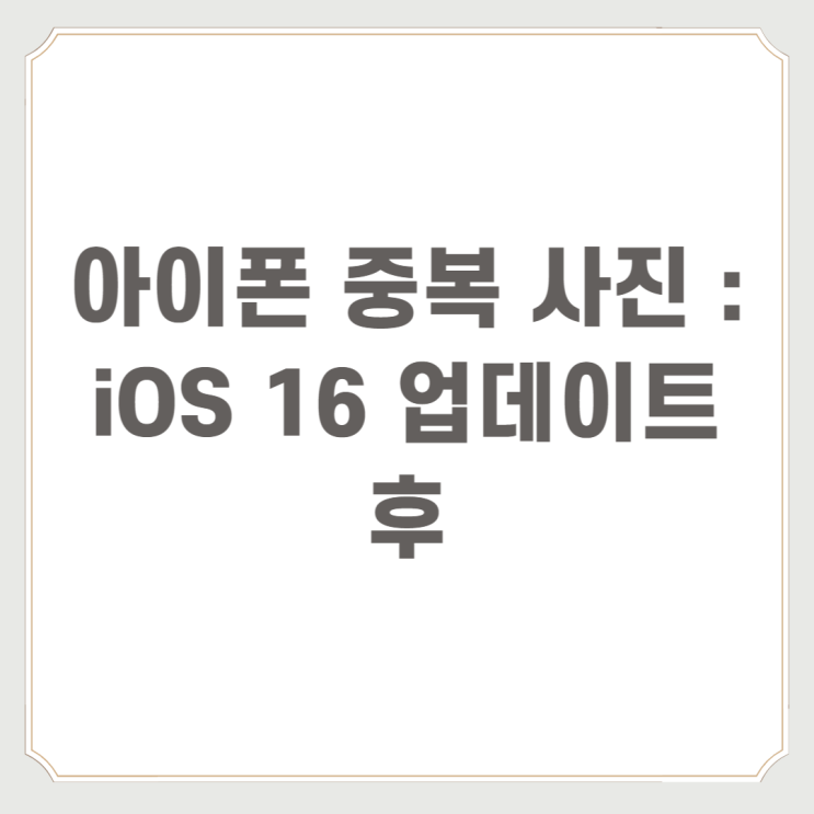 아이폰 중복 사진 : iOS 16 업데이트 후