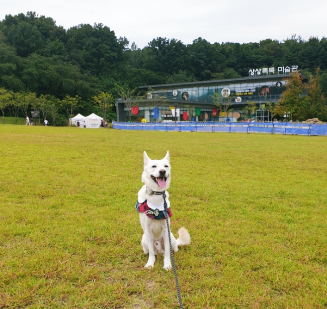 사람에게 겁 많은 강아지의 북서울 꿈의 숲 방문기