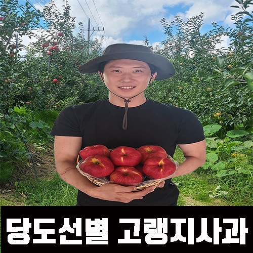  청송사과 안동 꿀땡이 5kg 판매합니다